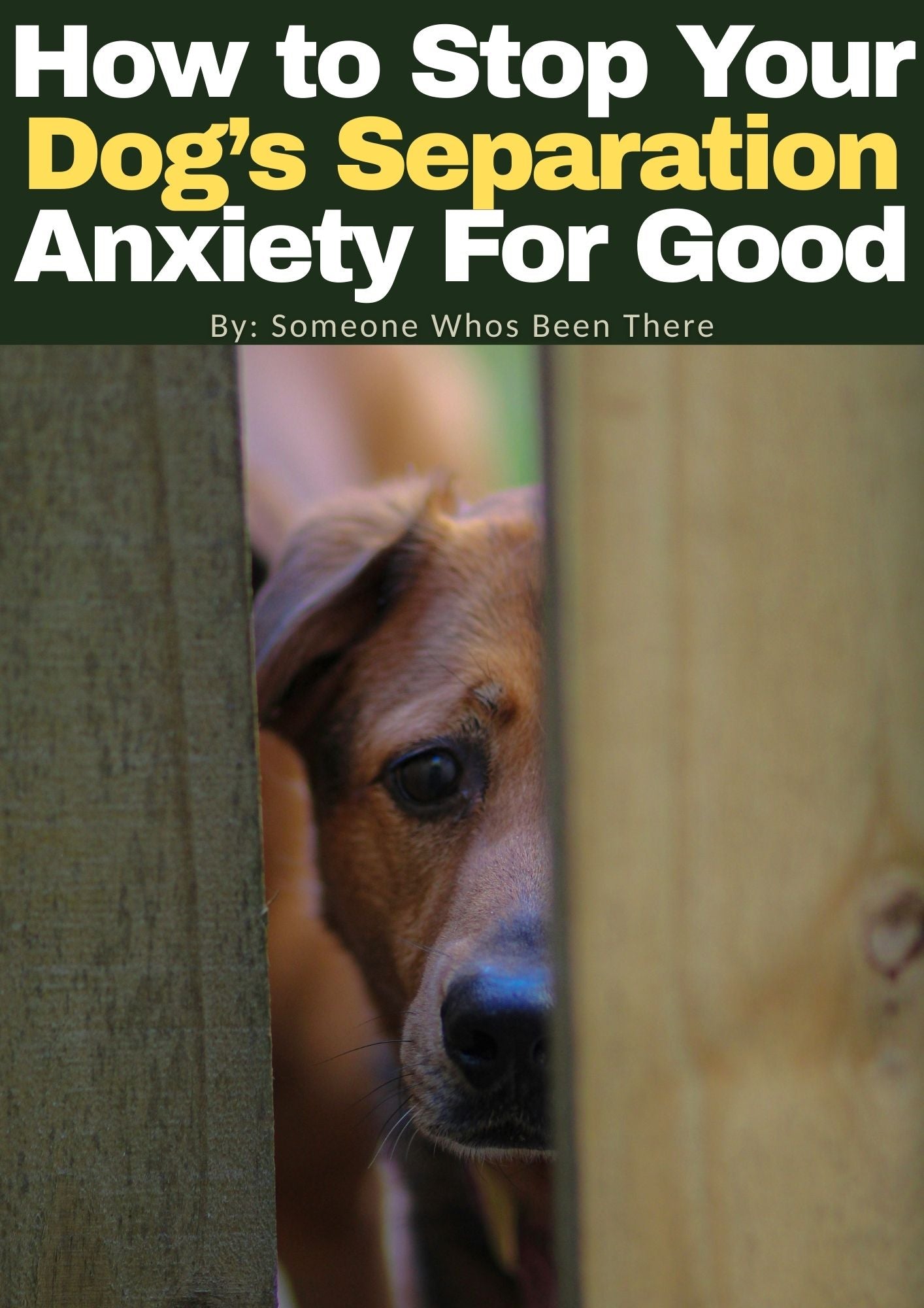 How to Stop Your Dog’s Separation Anxiety For Good