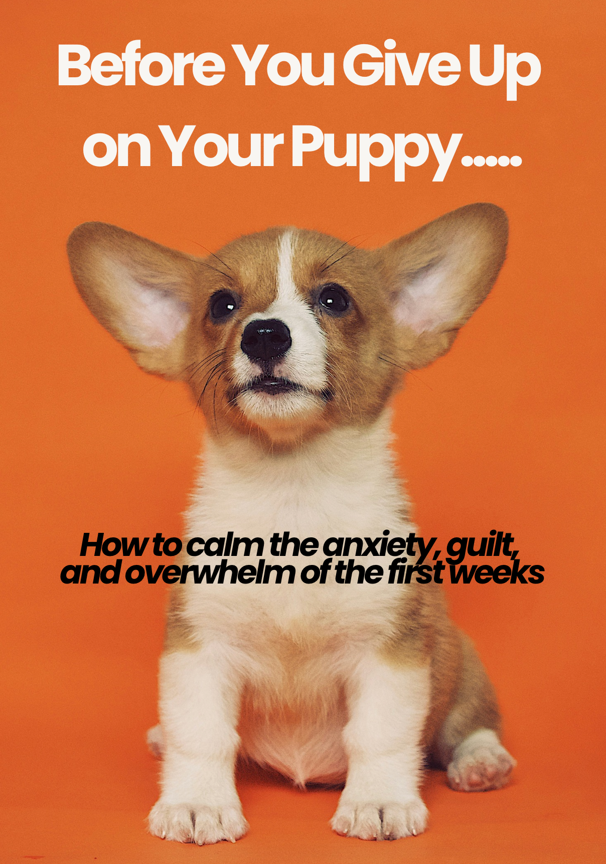 How to Overcome New Puppy Anxiety